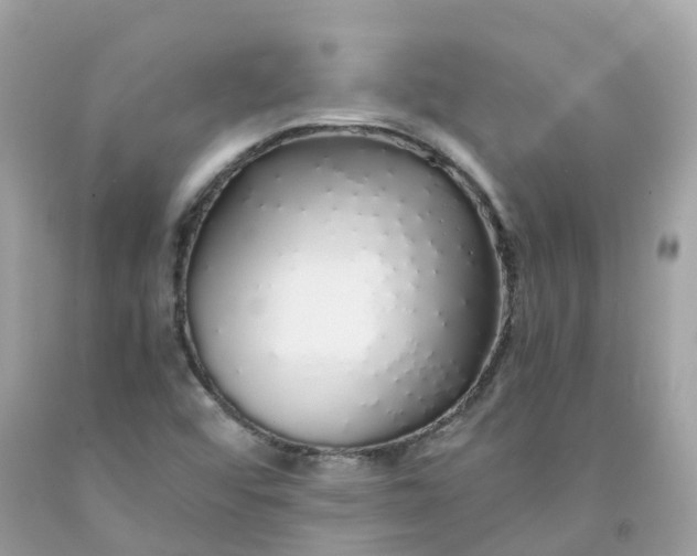 X0000091491456200709061850