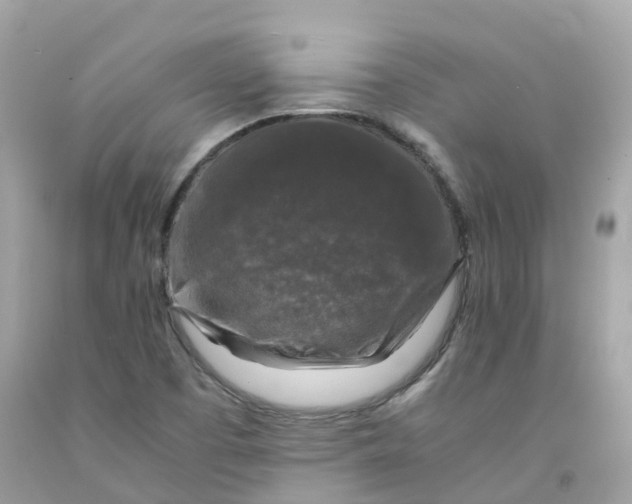 X0000091491457200709061850