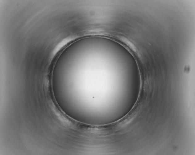 X0000091491458200709061850