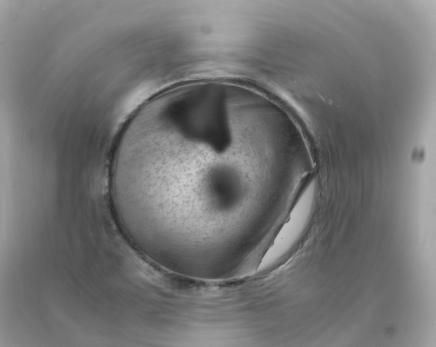 X0000091491459200709061850