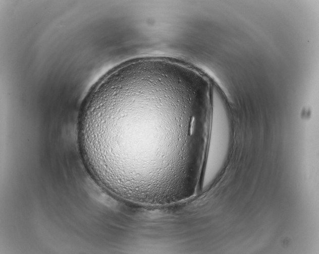 X0000091491460200709061850