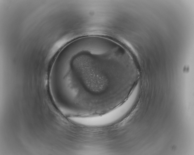 X0000091491461200709061850