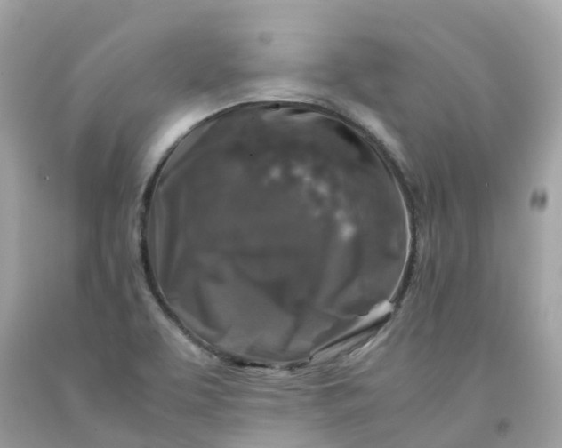 X0000091491463200709061850