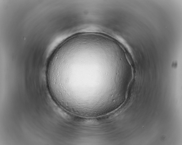 X0000091491464200709061850