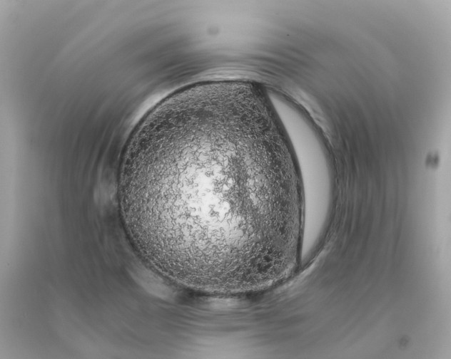 X0000091491465200709061850