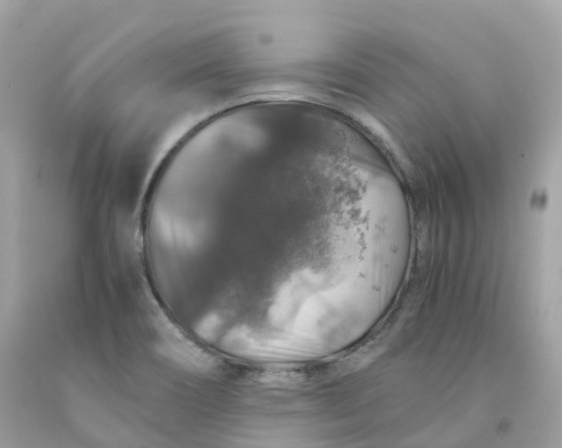 X0000091491466200709061850