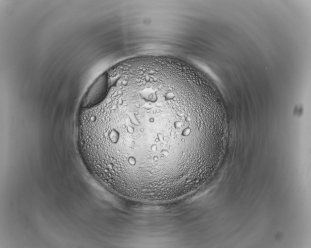 X0000091491467200709061850