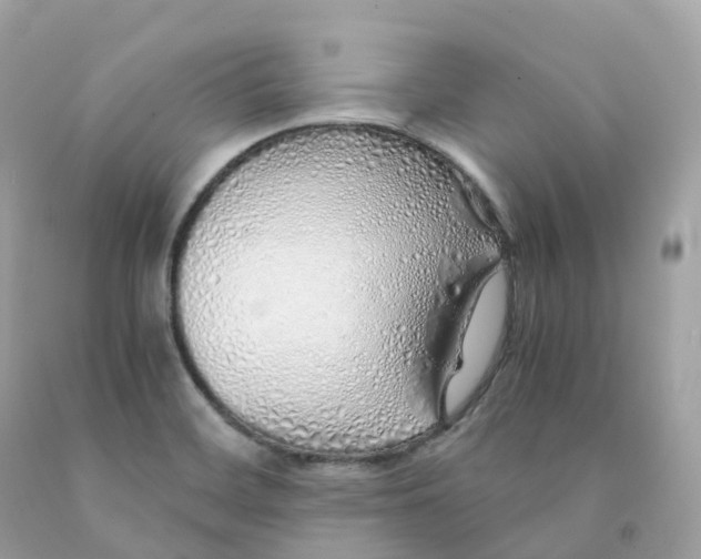 X0000091491468200709061850