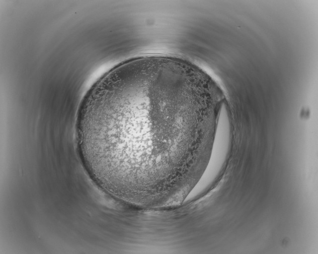 X0000091491469200709061850