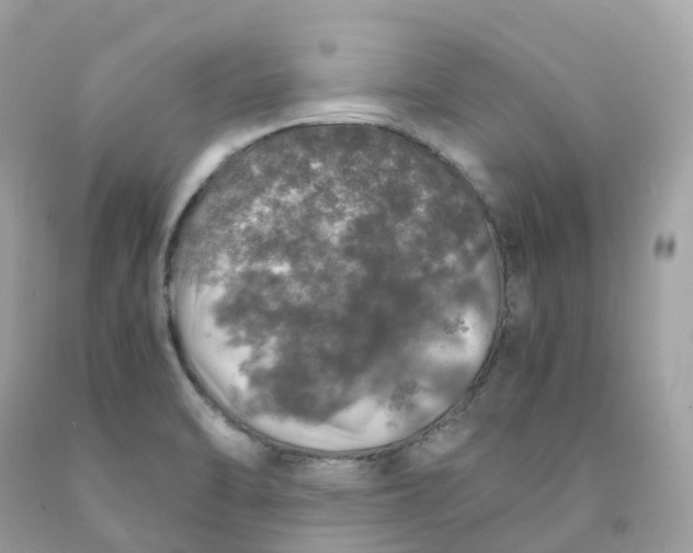 X0000091491470200709061850