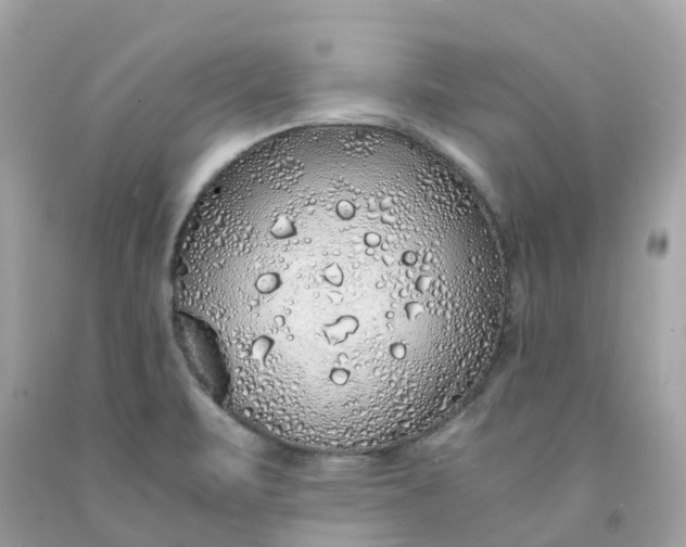 X0000091491471200709061850