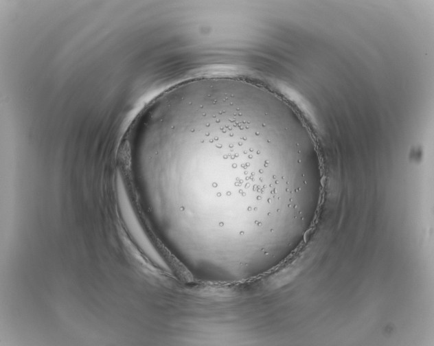 X0000091491473200709061850