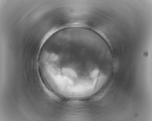 X0000091491474200709061850