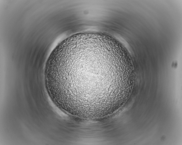 X0000091491475200709061850