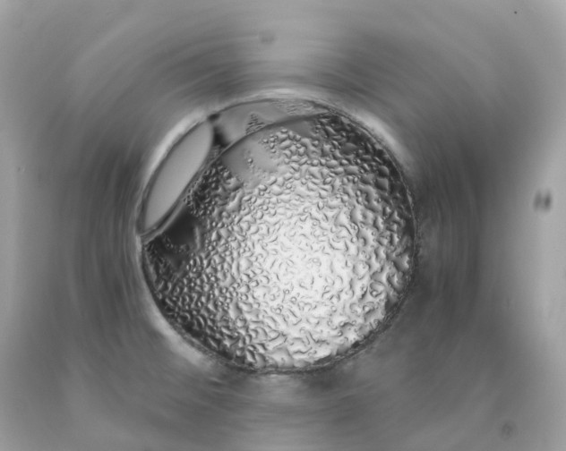 X0000091491476200709061850