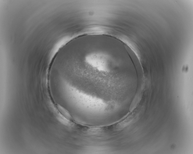 X0000091491477200709061850