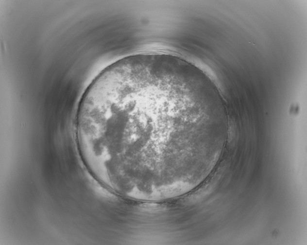 X0000091491478200709061850