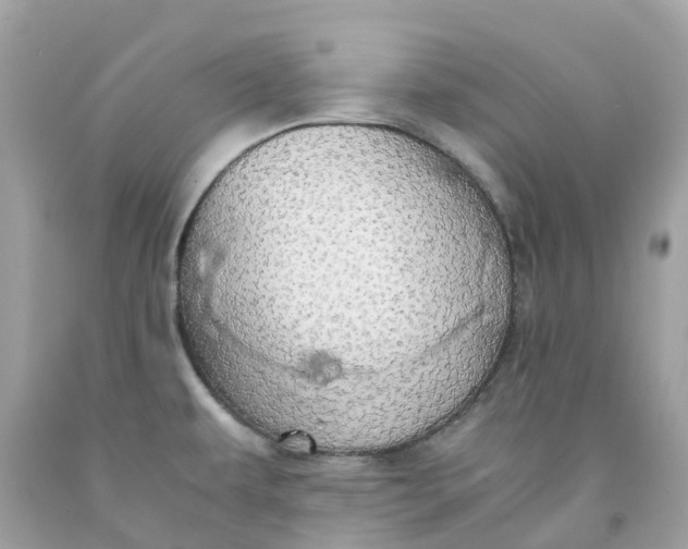 X0000091491479200709061850