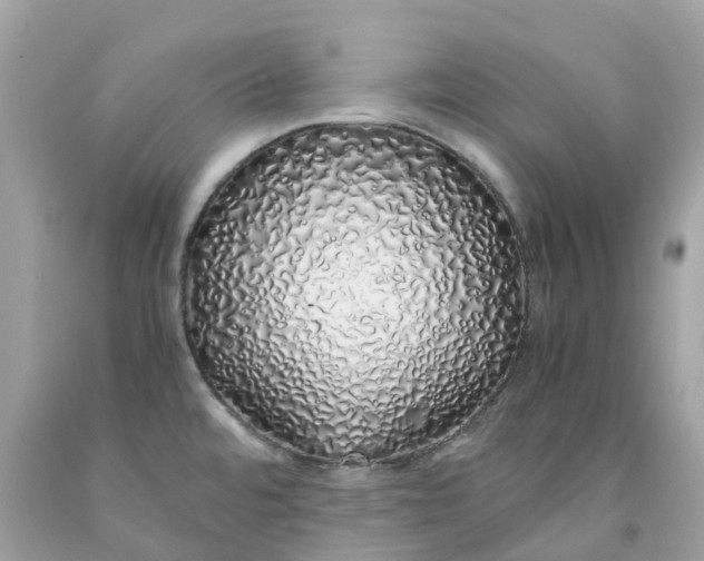 X0000091491480200709061850