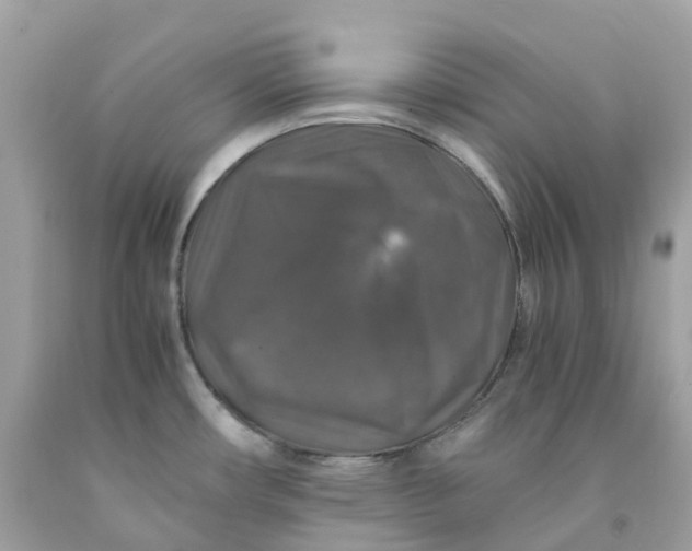 X0000091491482200709061850