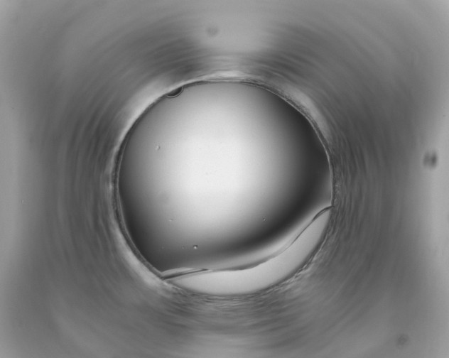 X0000091491483200709061850