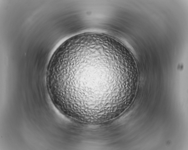 X0000091491484200709061850