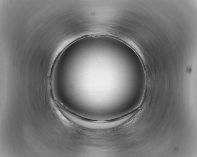 X0000091491485200709061850