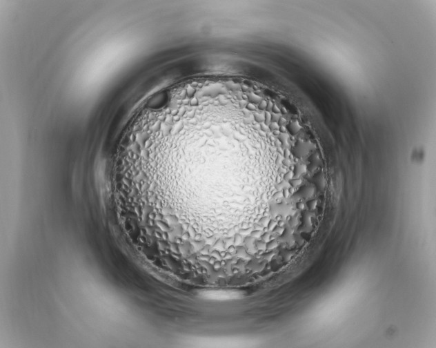 X0000091491487200709061850