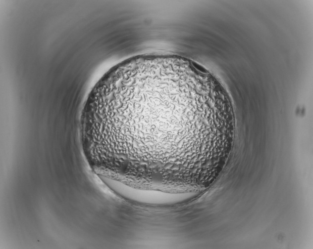 X0000091491488200709061850