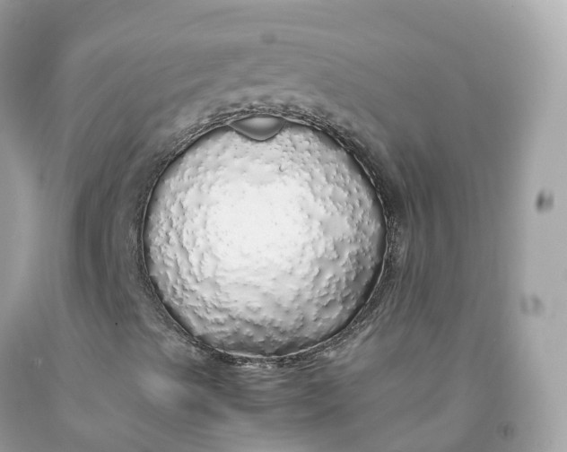 X0000091491489200709061849