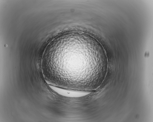 X0000091491490200709061849