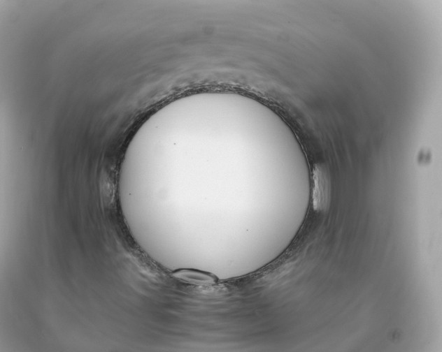 X0000091491491200709061849