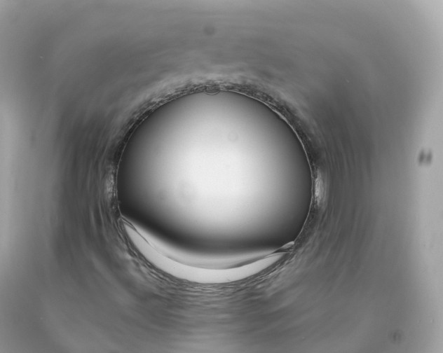 X0000091491492200709061849