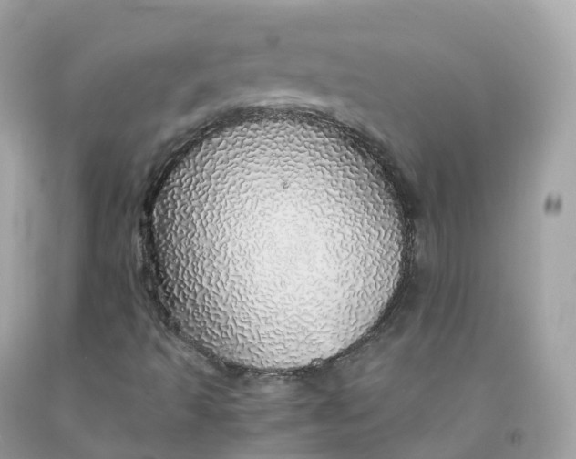 X0000091491493200709061849