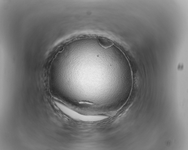 X0000091491494200709061849