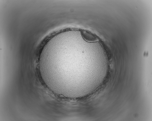 X0000091491495200709061849