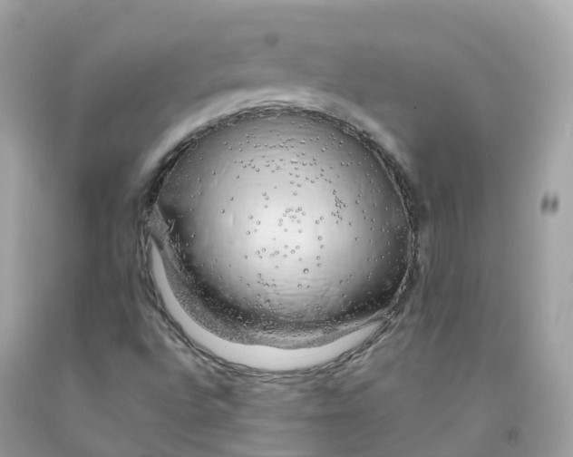 X0000091491496200709061849