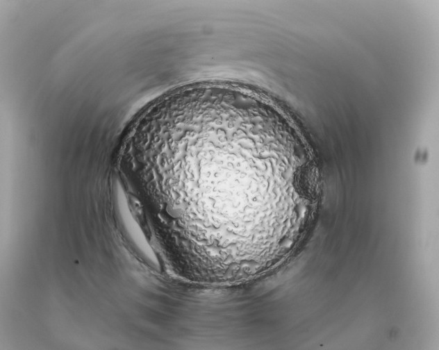 X0000091491497200709061849