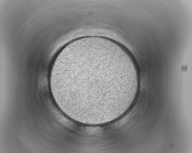 X0000091491498200709061849