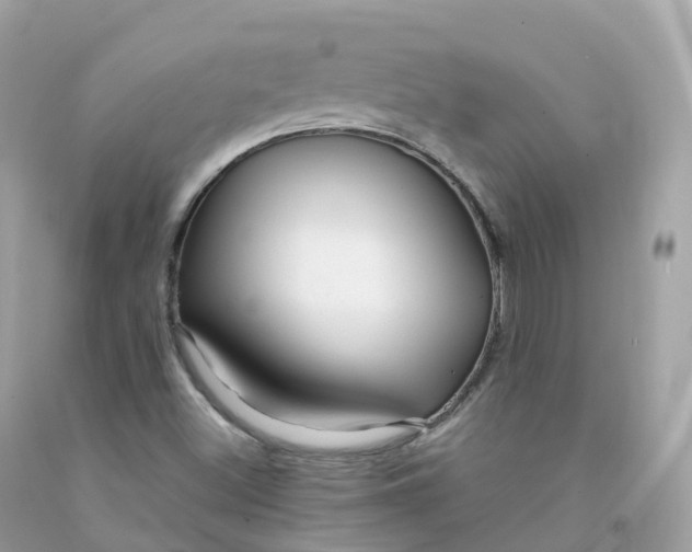 X0000091491500200709061849