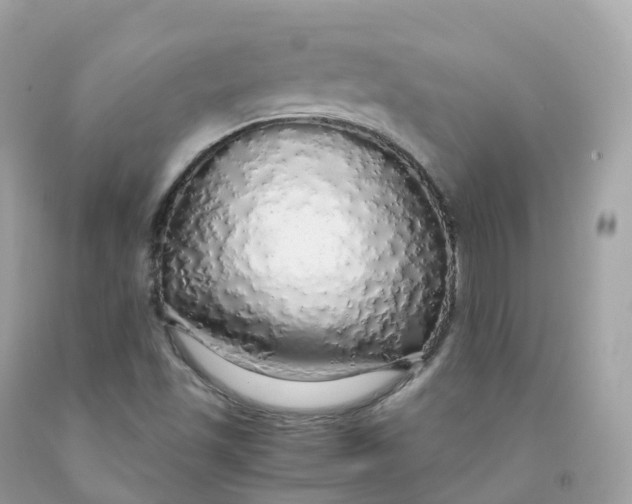 X0000091491501200709061849