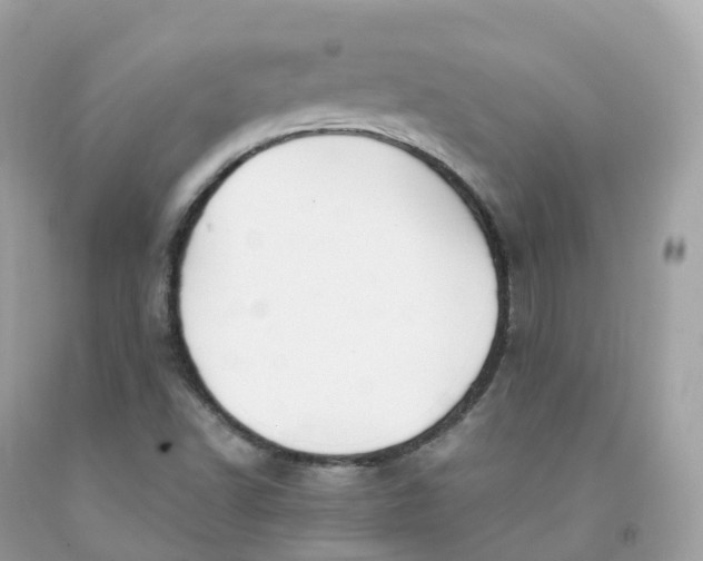 X0000091491502200709061849