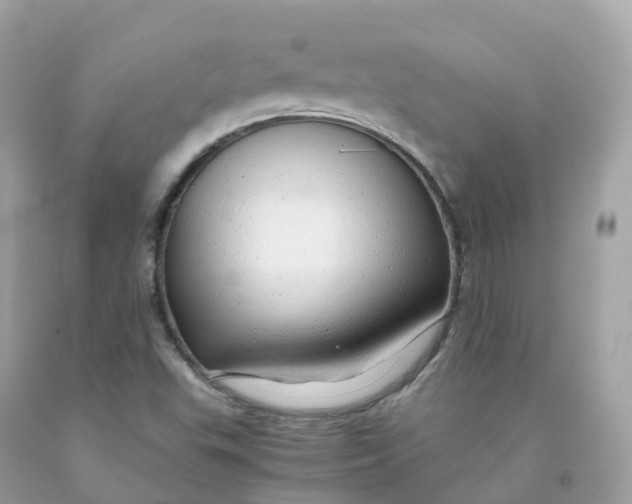 X0000091491503200709061849