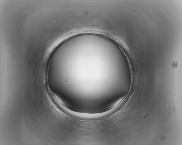 X0000091491504200709061850