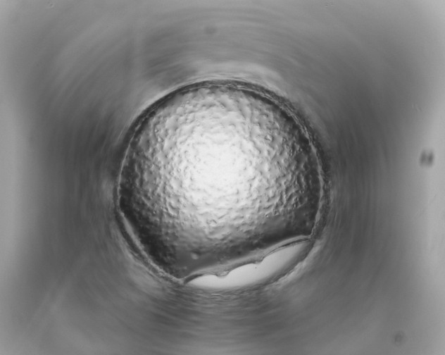 X0000091491505200709061850