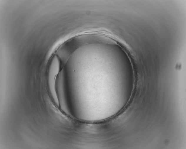 X0000091491506200709061850