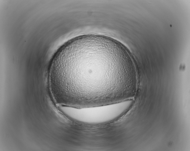 X0000091491507200709061850