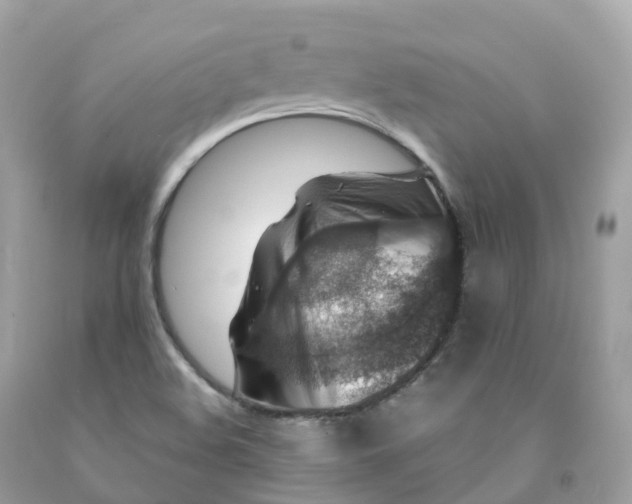 X0000091491508200709061850