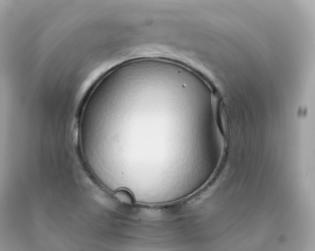 X0000091491509200709061850