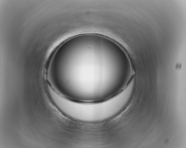 X0000091491510200709061850